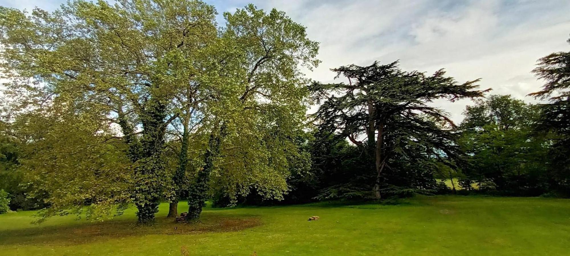 Domaine De La Tremblere Hotel Arthon Екстериор снимка